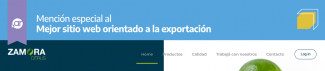 Imagen con texto Mención especial al mejor sitio web orientado a la exportación